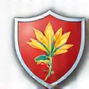 Disease Prevention Icon